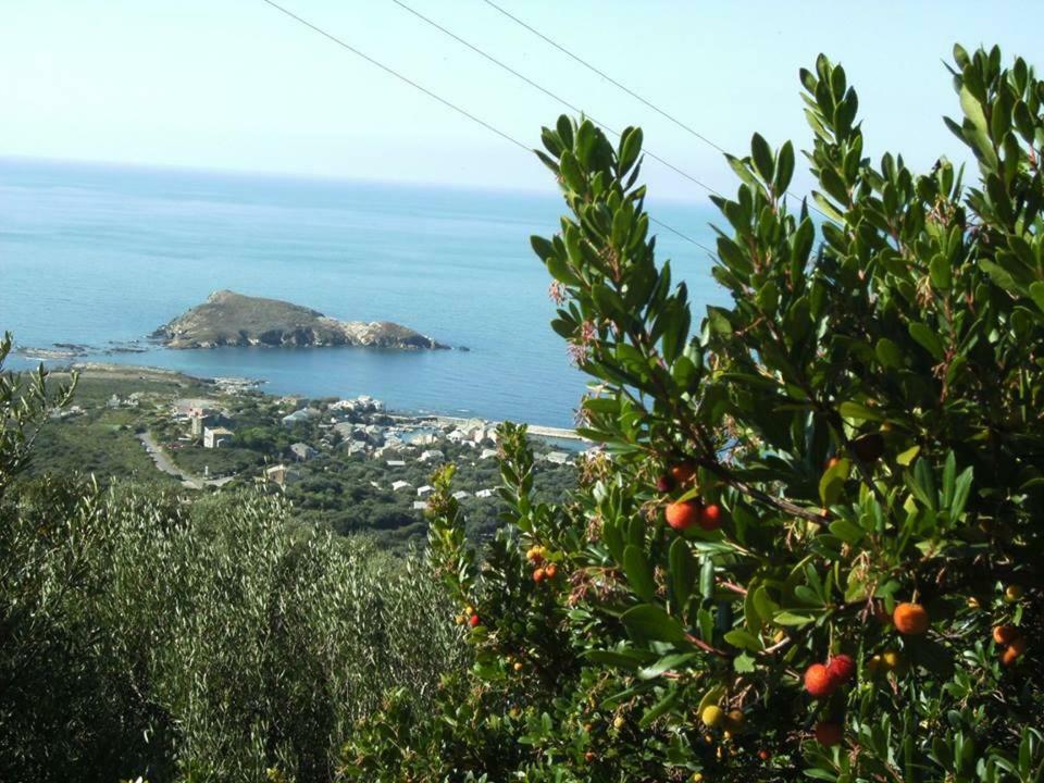 Porteo - Les Terrasses Du Port Centuri Buitenkant foto